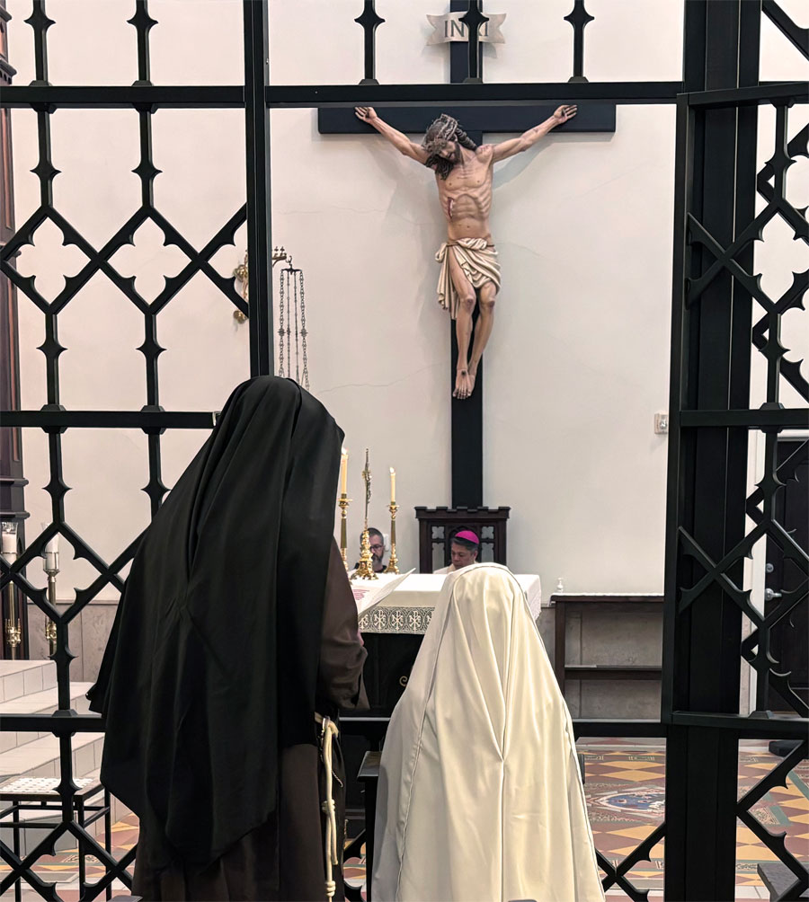 novitiate2